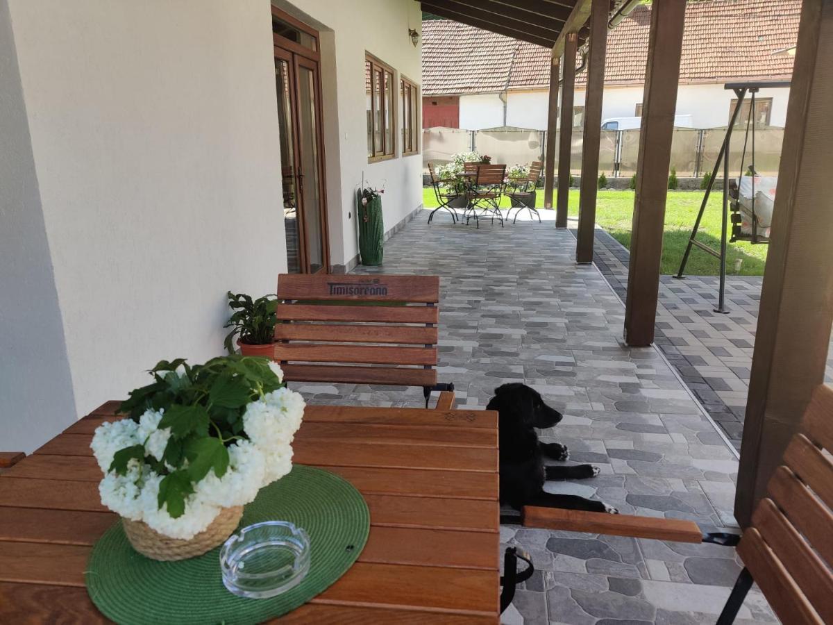 Homestay La Turcu Valiug